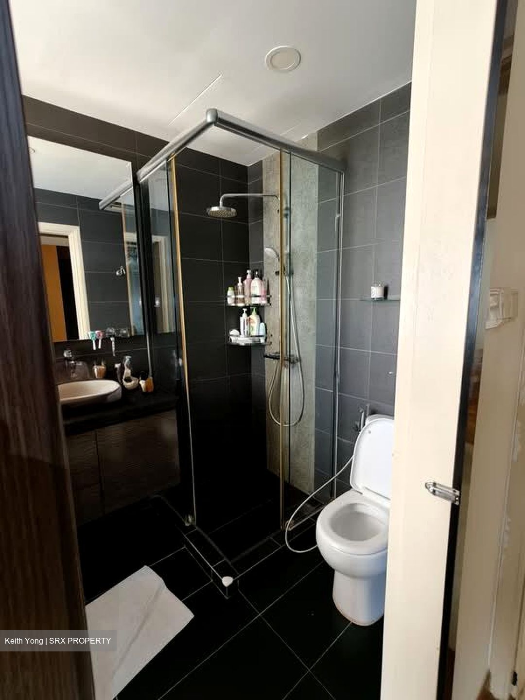 Seasons View (D20), Condominium #560280791